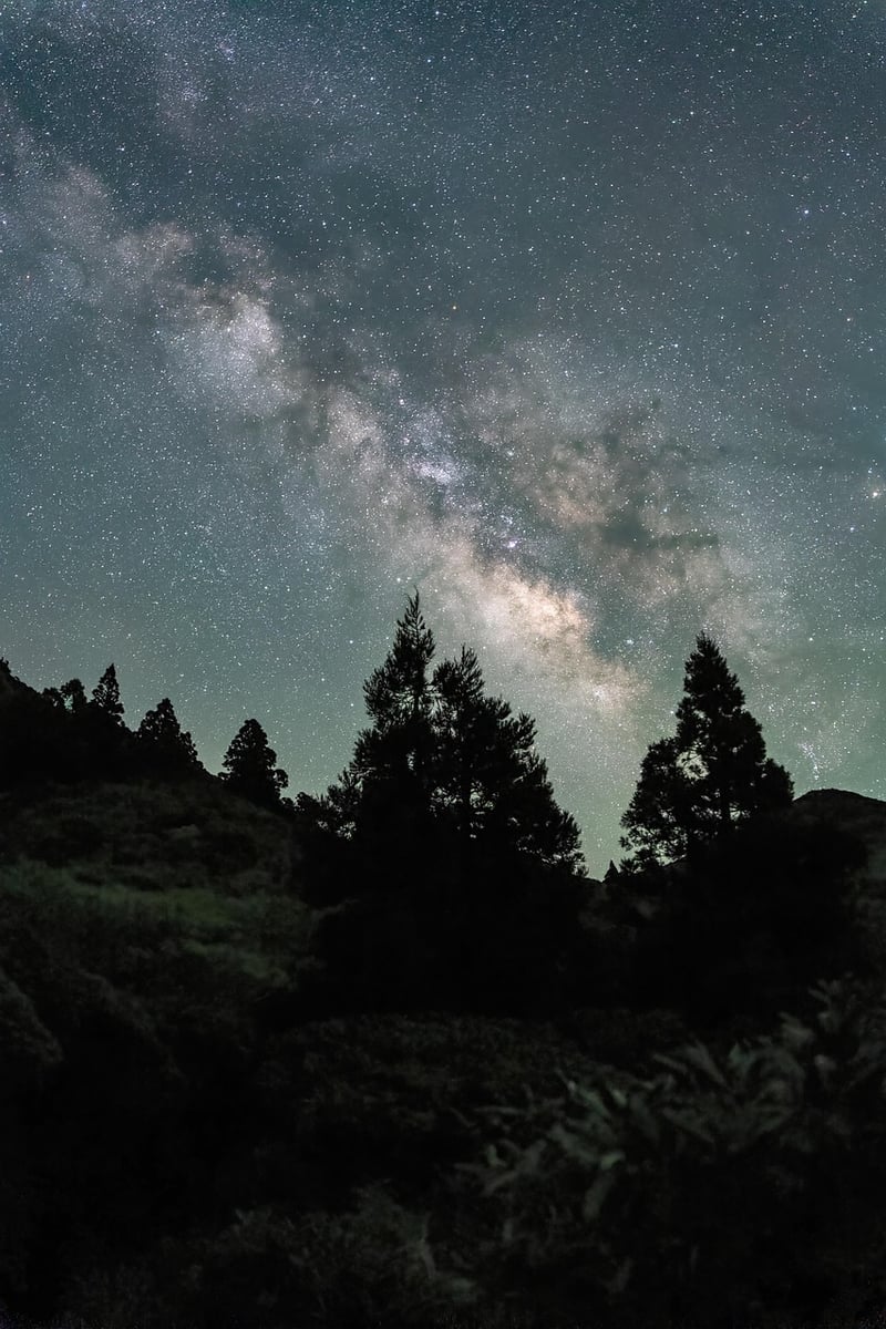 Expedition Night Sky